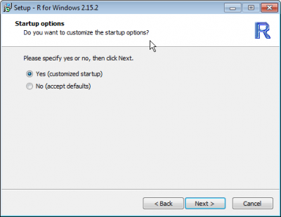 R customized install.png